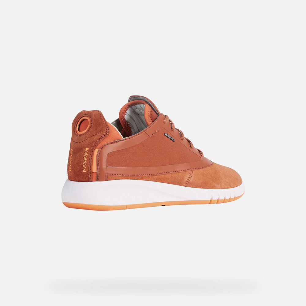 Basket Geox Aerantis - Orange - Homme 509482-HIG